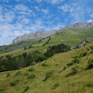 Preview wallpaper slope, grass, trees, mountains, nature