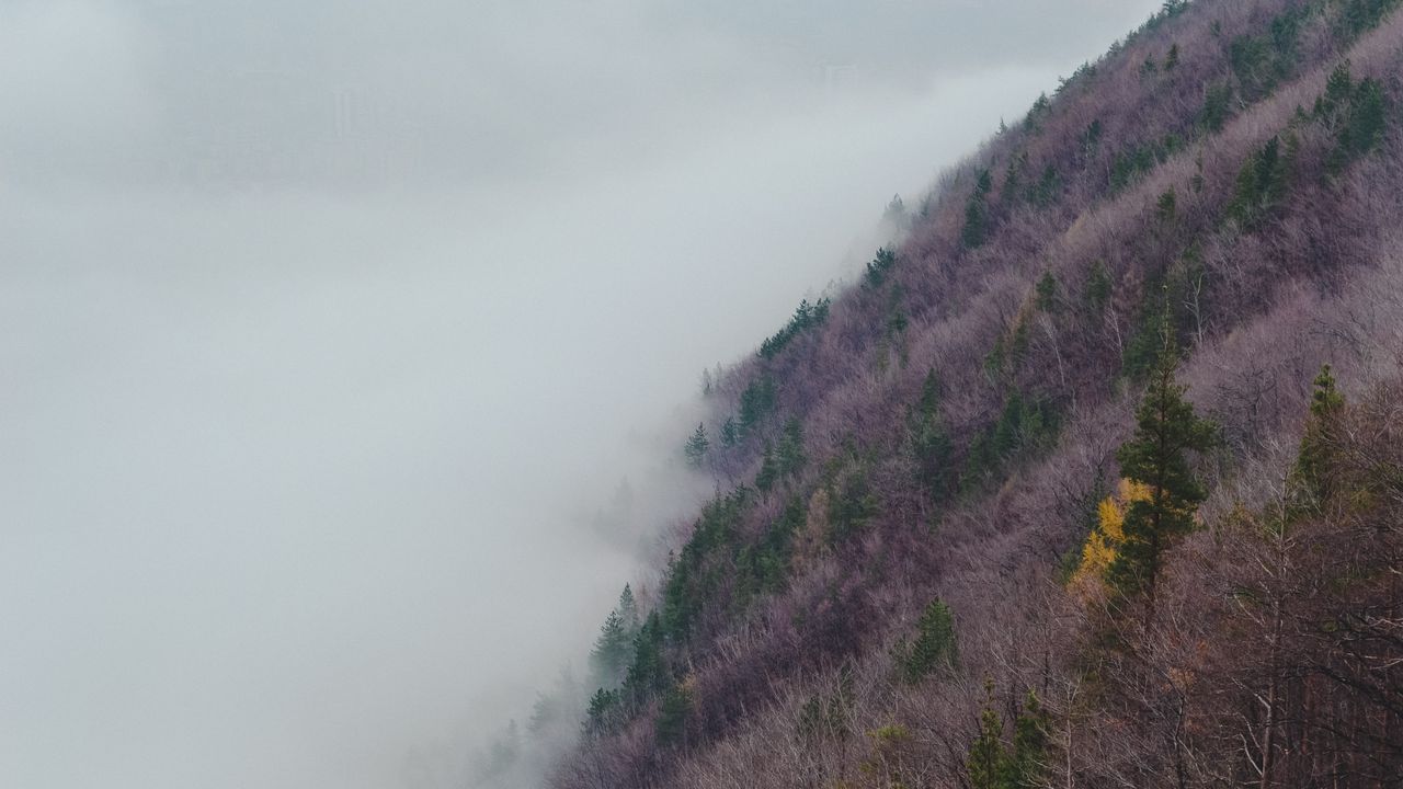 Wallpaper slope, hill, grass, fog