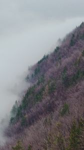 Preview wallpaper slope, hill, grass, fog