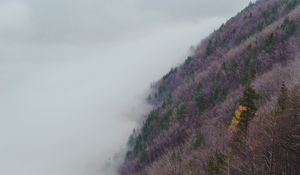 Preview wallpaper slope, hill, grass, fog