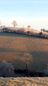 Preview wallpaper slope, hill, trees, hoarfrost, frosts