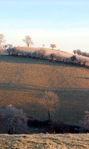 Preview wallpaper slope, hill, trees, hoarfrost, frosts