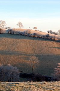 Preview wallpaper slope, hill, trees, hoarfrost, frosts