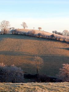 Preview wallpaper slope, hill, trees, hoarfrost, frosts