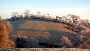 Preview wallpaper slope, hill, trees, hoarfrost, frosts