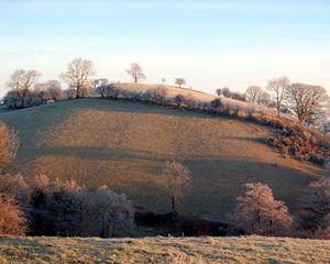 Preview wallpaper slope, hill, trees, hoarfrost, frosts