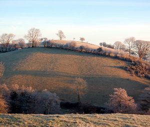 Preview wallpaper slope, hill, trees, hoarfrost, frosts