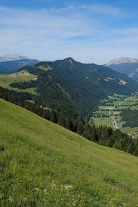 Preview wallpaper slope, hills, grass, trees, landscape