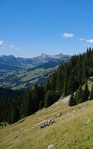 Preview wallpaper slope, hills, trees, grass, nature