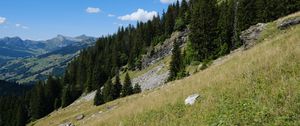 Preview wallpaper slope, hills, trees, grass, nature