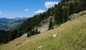 Preview wallpaper slope, hills, trees, grass, nature
