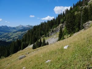 Preview wallpaper slope, hills, trees, grass, nature