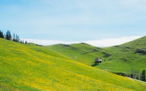 Preview wallpaper slope, lawn, flowers, grass, summer