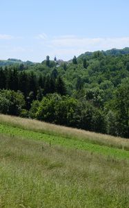 Preview wallpaper slope, meadow, grass, trees, nature