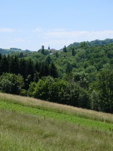 Preview wallpaper slope, meadow, grass, trees, nature