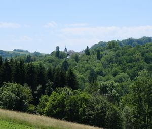 Preview wallpaper slope, meadow, grass, trees, nature