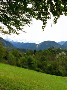 Preview wallpaper slope, meadow, trees, summer, glade, relief, sky, gloomy