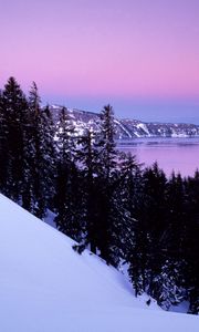 Preview wallpaper slope, mountain, snow, winter, evening, trees, calmness
