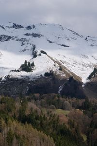 Preview wallpaper slope, mountain, snow, trees, landscape