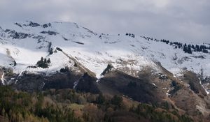 Preview wallpaper slope, mountain, snow, trees, landscape