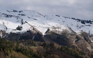 Preview wallpaper slope, mountain, snow, trees, landscape