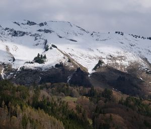 Preview wallpaper slope, mountain, snow, trees, landscape