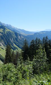 Preview wallpaper slope, mountain, trees, forest, sky, view