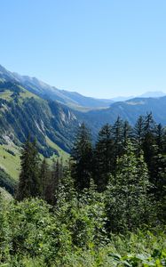 Preview wallpaper slope, mountain, trees, forest, sky, view