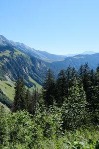 Preview wallpaper slope, mountain, trees, forest, sky, view