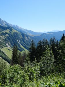 Preview wallpaper slope, mountain, trees, forest, sky, view