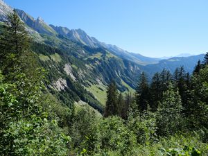 Preview wallpaper slope, mountain, trees, forest, sky, view