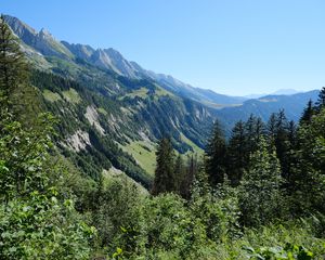 Preview wallpaper slope, mountain, trees, forest, sky, view