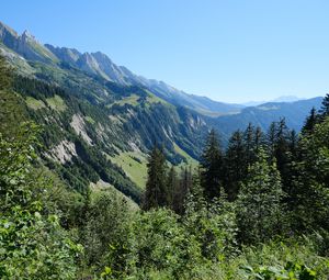 Preview wallpaper slope, mountain, trees, forest, sky, view