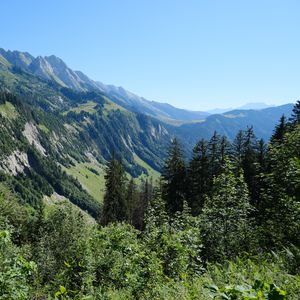 Preview wallpaper slope, mountain, trees, forest, sky, view