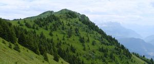 Preview wallpaper slope, mountain, trees, grass, nature