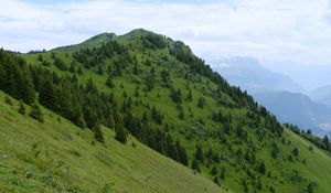 Preview wallpaper slope, mountain, trees, grass, nature