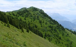 Preview wallpaper slope, mountain, trees, grass, nature