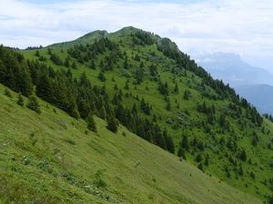 Preview wallpaper slope, mountain, trees, grass, nature