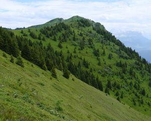 Preview wallpaper slope, mountain, trees, grass, nature