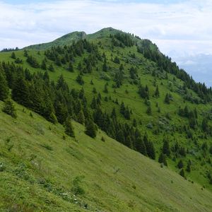 Preview wallpaper slope, mountain, trees, grass, nature