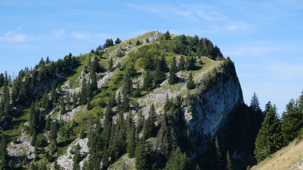 Wallpaper slope, mountain, trees, landscape, nature