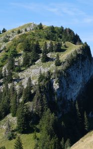 Preview wallpaper slope, mountain, trees, landscape, nature