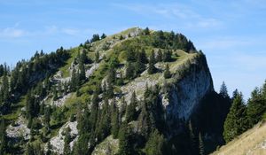 Preview wallpaper slope, mountain, trees, landscape, nature