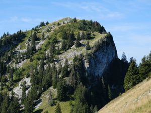 Preview wallpaper slope, mountain, trees, landscape, nature