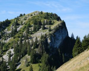 Preview wallpaper slope, mountain, trees, landscape, nature