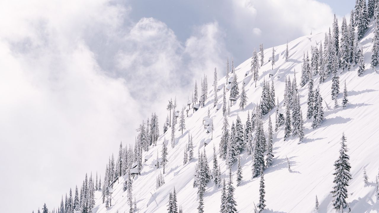 Wallpaper slope, mountain, trees, winter, snow