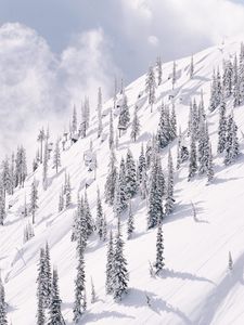 Preview wallpaper slope, mountain, trees, winter, snow