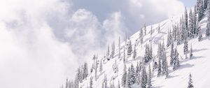 Preview wallpaper slope, mountain, trees, winter, snow