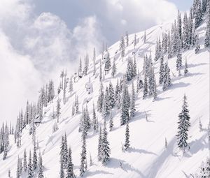 Preview wallpaper slope, mountain, trees, winter, snow