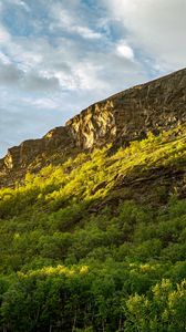 Preview wallpaper slope, mountain, trees, sunlight, shadow